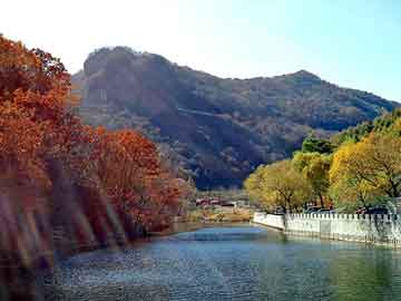 新澳天天开奖资料大全旅游团，南通企业名录